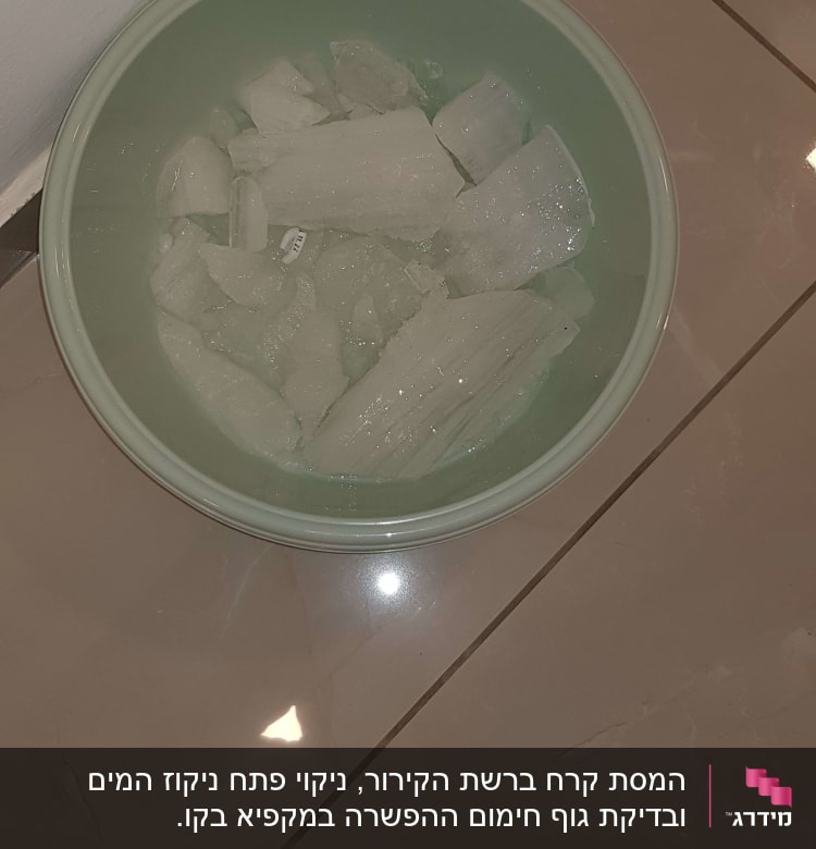 קערה ירוקה עם גושי קרח על הרצפה